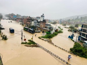 काठमाडौँ उपत्यकमा नौ महिनाकी गर्भवतीसहित ३४ जनाको मृत्यु (नाम सहित)